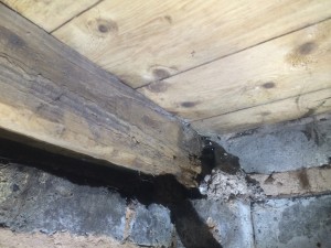 Sub-floor ventilation will cure rotting floor joists. Solar sub-floor ventilator will prevent rotting of floor joists.
