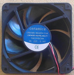picture of dowmus fan