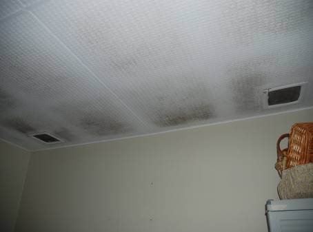 Eliminate mould problems in damp rooms