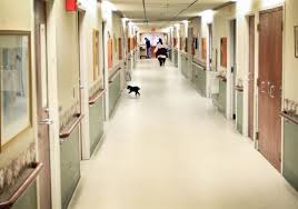 Remove smell from nursing home
