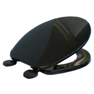 Black Plastic Toilet Seat